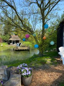 een tuin met een vijver en een brug met kleurrijke ballonnen bij Tiny house Smûk in Tietjerk