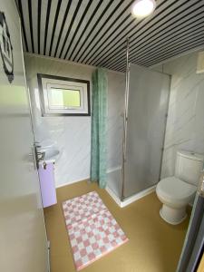 een badkamer met een toilet, een douche en een wastafel bij Tiny house Smûk in Tietjerk