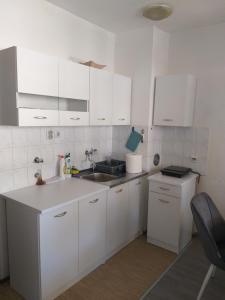 Kuchyň nebo kuchyňský kout v ubytování Apartment in Podgorica - Montenegro + 9 fotografií