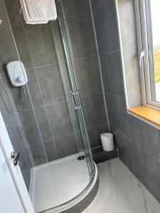 un bagno con doccia con porta in vetro di Aran views a Galway