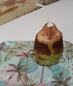 a vase sitting on top of a table at Big Mama's Little House Casa da Mãe Grande in Porto Alegre