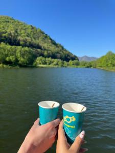 two hands holding up cups in front of a lake at Карпати котедж Анастасія in Skole