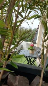 a table with flowers on top of a boat at Green Field Lodge in Lingolsheim