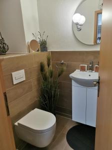 a bathroom with a toilet and a sink at Gemütliche Ferienwohnung in Torgau