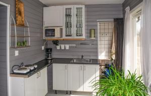 Kjøkken eller kjøkkenkrok på 2 Bedroom Stunning Home In Skotterud