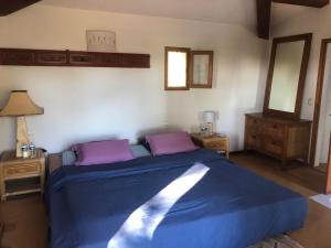 ファイエンスにあるVilla au calme sans vis à visのベッドルーム(紫色の枕が付いた青いベッド付) +8枚の写真