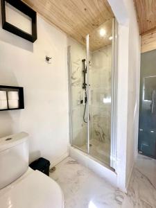 un baño con ducha y WC en Cantinho da Verdade, en Odiáxere
