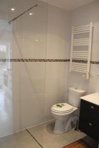 ein weißes Bad mit einem WC und einer Dusche in der Unterkunft Gite de la rampotiere in Quettreville-sur-Sienne