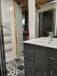 uma casa de banho com um lavatório e um espelho em Appartement gîte du Gardoir em Boresse-et-Martron