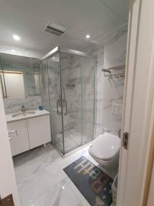 La salle de bains est pourvue d'une douche, de toilettes et d'un lavabo. dans l'établissement Classic apartment at Circus, à Oulan-Bator