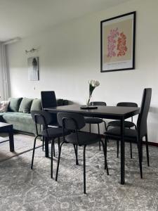 ザグレブにあるRita Apartment-FREE PARKING&WIFIの黒いダイニングテーブル(椅子、ソファ付)