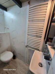 a bathroom with a toilet and a sink at Apartman BEG in Belgrade