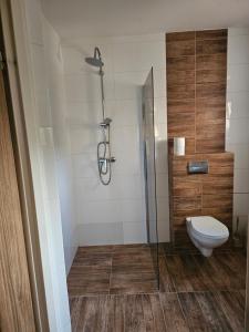 ポランチクにあるSiedlisko Lipowiec i pokoje Apartamenty Berezkaのバスルーム(トイレ、ガラス張りのシャワー付)