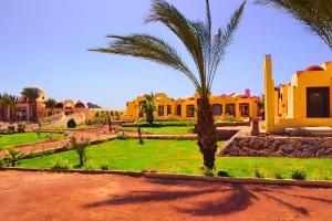 Hostmark Zabargad Beach Resort في أبو غصن: حديقة فيها نخيل ومباني في الصحراء