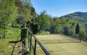 カモーリにあるAmazing Apartment In Camogli With Kitchenの野原中のテニスコート