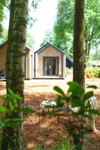 a cabin in the woods with a bench and trees at Sød I Tiny house in Epe +11 photos