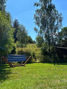 Ogród w obiekcie Domki u Oli