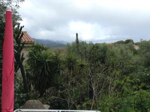 a view of a garden with plants and a building at la loggia in Porto-Vecchio