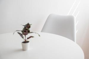 uma planta num vaso branco sentado numa cadeira branca em GuestReady - Modernity near Arrabida Shopping em Vila Nova de Gaia