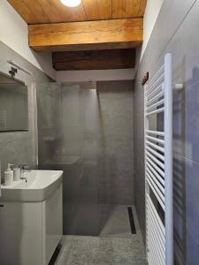 a bathroom with a sink and a toilet and a shower at Resort Biela Skala - CHATA in Bystrá