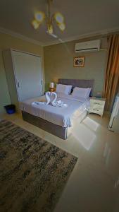 开罗Golden Grand Museum Hotel的相册照片