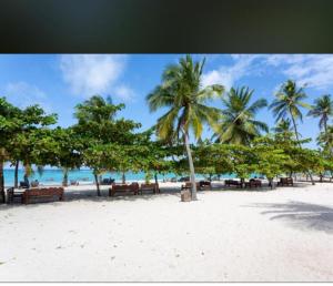 a beach with chairs and palm trees and the ocean at Owen Studio in Diani Beach