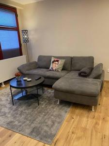 a living room with a couch and a table at Downtown No 4 in Bad Soden-Salmünster
