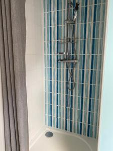 une douche avec rideau de douche bleu et blanc dans l'établissement Le Loft brestois, à Brest