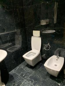 ein schwarz gefliestes Bad mit einem WC und einem Waschbecken in der Unterkunft I&S Apartment 1 in Golem