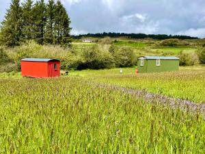 a field with twosheds in the middle of a field at Shepherds Hut Glamping in Bantry