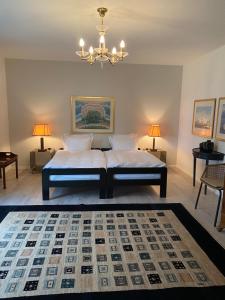 a bedroom with a bed and a chandelier at Villa Ani in Ascona