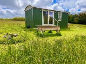 ein kleines grünes Haus mit einer Bank auf einem Feld in der Unterkunft Stepping Stones Glamping ‘the olive’ in Bantry