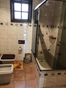 y baño con ducha y aseo. en Casa Moinhos de Vento Vintage, en Porto Alegre
