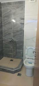 a bathroom with a shower and a toilet in a room at Monda Apartment in Piraeus