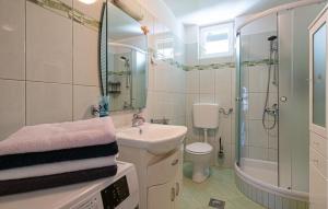 ein Badezimmer mit Waschbecken, Toilette und Dusche in der Unterkunft Awesome Home In Barban With Jacuzzi in Divšići