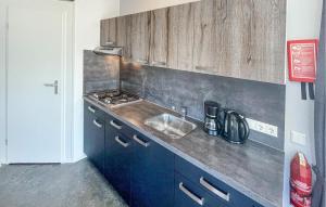 kuchnia ze zlewem i kuchenką w obiekcie Pet Friendly Home In Lauwersoog w mieście Lauwersoog
