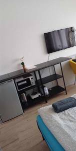 Televízia a/alebo spoločenská miestnosť v ubytovaní ARANYHÍD APARTMAN