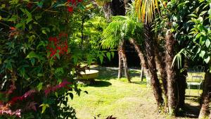 a park with a bench and some trees and flowers at Casa Emilia in Dongo
