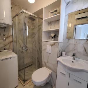 La salle de bains est pourvue d'une douche, de toilettes et d'un lavabo. dans l'établissement Apartman Marija, à Becici