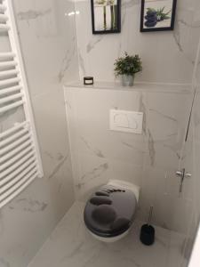 シオーフォクにあるARANYHÍD APARTMANの白いバスルーム(黒い椅子付きトイレ付)