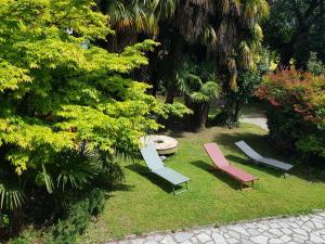 3 chaises longues et une table dans un jardin dans l'établissement Casa Emilia, à Dongo
