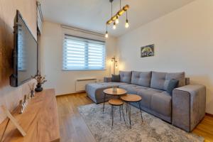 Μια τηλεόραση ή/και κέντρο ψυχαγωγίας στο Fantasy apartment Zlatibor