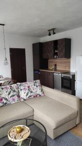 sala de estar con sofá y cocina en Chata na samote en Jelenec