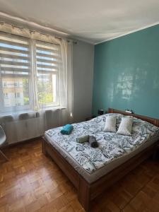 a bedroom with a large bed with a blue wall at Apartament 18 in Toruń