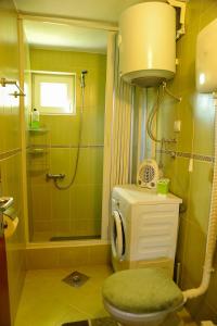 ein Bad mit einer Dusche, einem WC und einer Dusche in der Unterkunft LOVCEN4ME in Cetinje