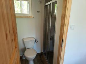 W łazience znajduje się toaleta i przeszklony prysznic. w obiekcie Pensjonat Sawica w mieście Szczytno