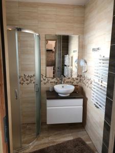 La salle de bains est pourvue d'un lavabo et d'une douche. dans l'établissement Domek na Hubce, à Maniowy