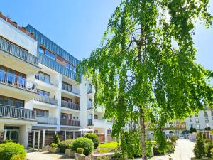 an apartment building with a tree in front of it at Visit Baltic - Platan II in Świnoujście