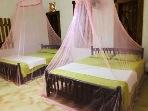 two beds in a room with mosquito nets at Belihuloya Terico Resort in Balangoda