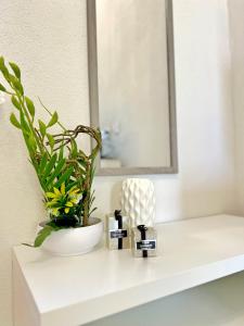 スタブロスにあるGuest House Juliaの鏡と植物が備わるバスルーム棚